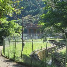 水門から出た流れ