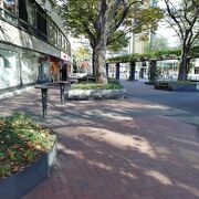 都会のオアシス