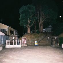 夜の旧長崎医科大学、左右の門柱。