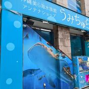 美ら海水族館のおみやげ