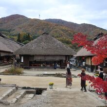 茅葺屋根がいい味だしています