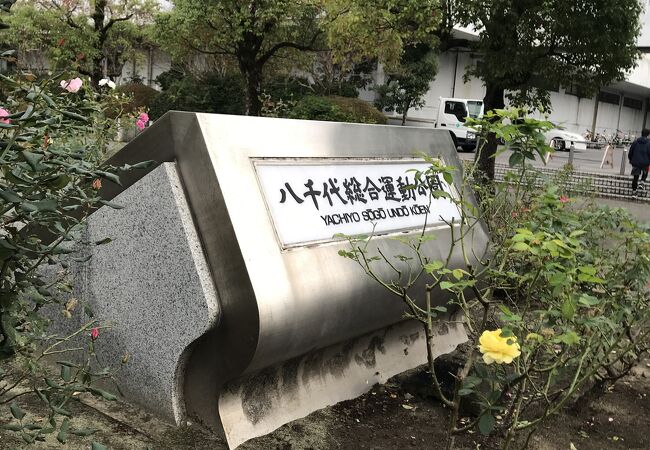 八千代総合運動公園