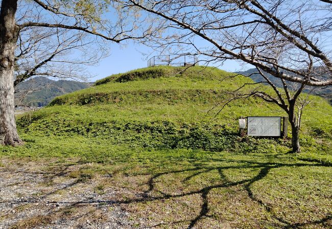 ６世紀の初めに造られた佐賀県最大級の古墳