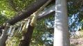 いろいろあって