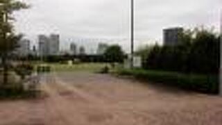 芝生が公園を覆っています。