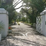 青島神社近くにある植物園