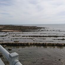 青島神社弥生橋付近