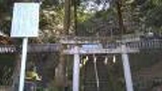 箱根町湯本の旧東海道沿いに鎮座している小さな神社