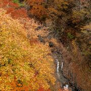 渓谷沿いの紅葉は見事です。