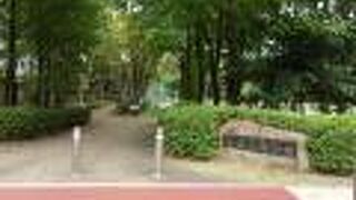 野球場があります。