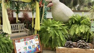 鳥がいっぱい、でも高め