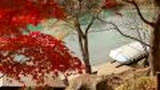 エメラルドグリーンと真っ赤なもみじのコラボは最高です。