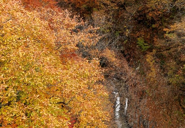 渓谷沿いの紅葉は見事です。