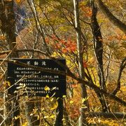 紅葉の山の中を水が流れ落ちて風流かつ大迫力