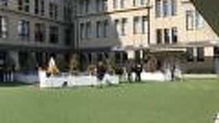 若手華道家によるいけばな展