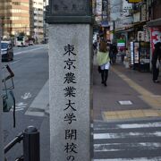 東京農業大学開校の石碑