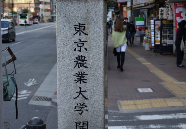 東京農業大学開校の石碑