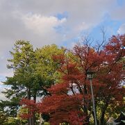 一部の木が紅葉し始めていました