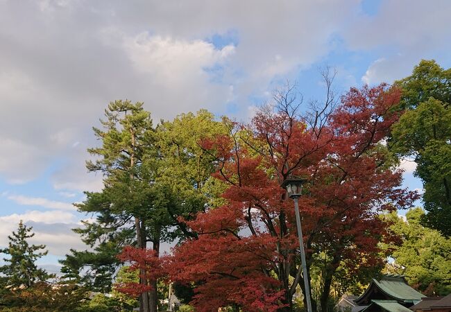 一部の木が紅葉し始めていました