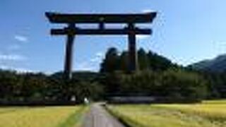 とてつもなく大きな鳥居です。