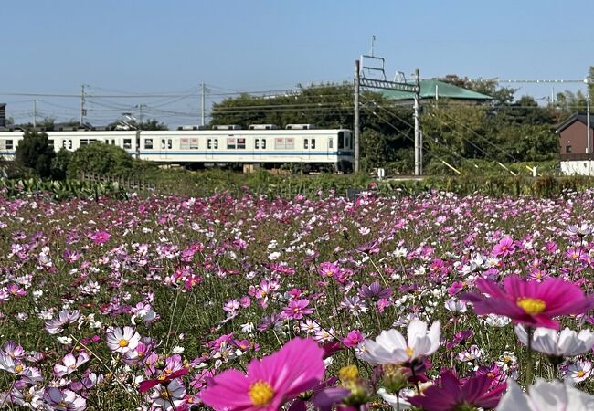 大宮公園駅