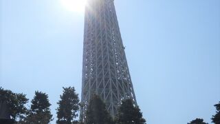 東京タワーとは違う魅力たっぷり