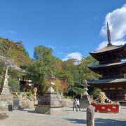 見所盛り沢山のお寺