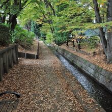 千川上水