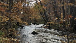 紅葉～レンタカー使って　2022年11月
