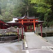 箱根神社の境内にあります。