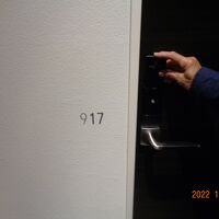 917号室に宿泊しました。