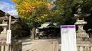 広々とした敷地が印象的