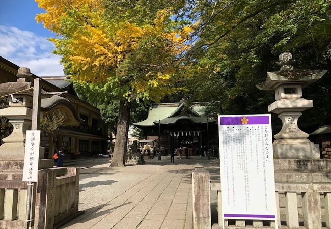 広々とした敷地が印象的