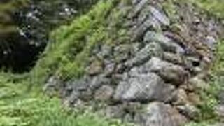 蛇行した天竜川と支流である二俣川に挟まれた高台にある、自然環境を利用したお城です。