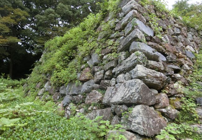 蛇行した天竜川と支流である二俣川に挟まれた高台にある、自然環境を利用したお城です。