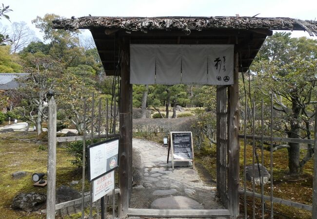 二条城の庭園でお茶タイム