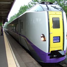 大沼公園駅に入ってきた特急北斗