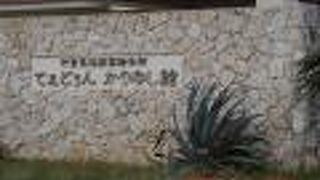 てぇどぅんかりゆし館内にあり、色々売っています