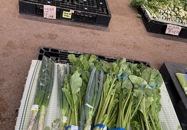 道の駅 花の駅 千曲川 クチコミ アクセス 営業時間 飯山 栄村 フォートラベル