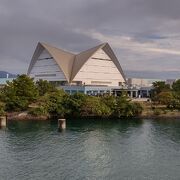 桜島フェリーの入り口