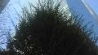 巨大な複合施設