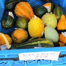 カボチャたち　店頭販売中