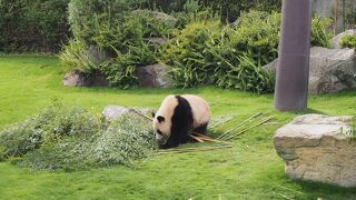 開園から閉園まで楽しめました。