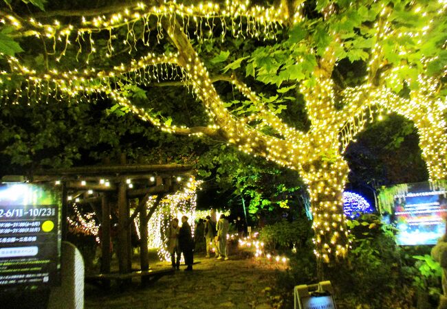 昼も夜も行ってみた　定山渓二見公園