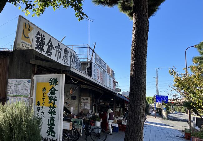 鎌倉野菜なら駅すぐ連売市場がいい