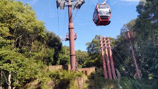 ロープウェイから神戸の絶景、そしてハーブ園を歩く。