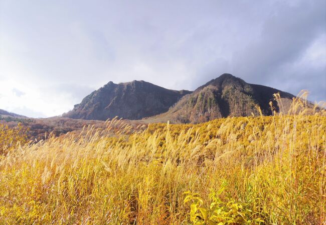 黒伏山