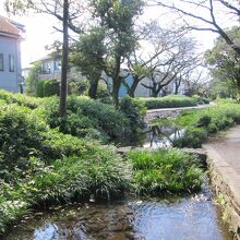 根川緑道