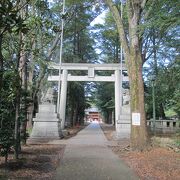 城探訪東京(8)で諏訪神社に行きました