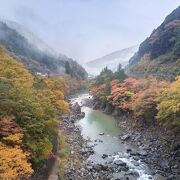 紅葉が綺麗でした。